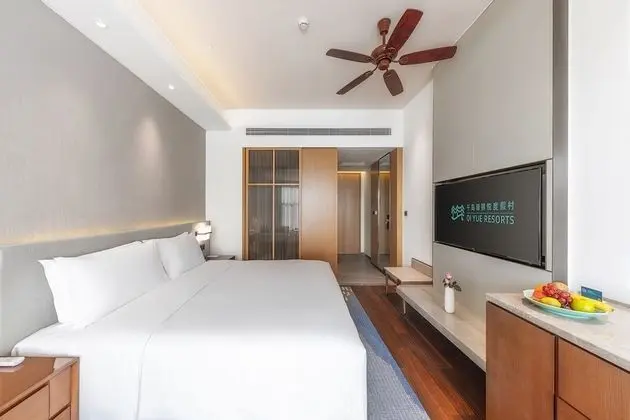Deluxe Tek Büyük Yataklı Oda