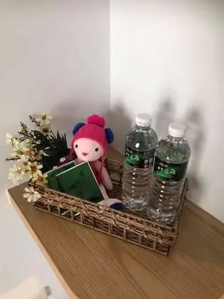 Tek Büyük Yataklı Oda (301)