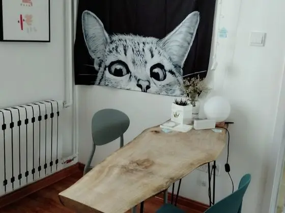 Çatı Katı (Loft)