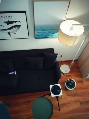 Çatı Katı (Loft)
