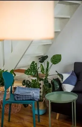Çatı Katı (Loft)