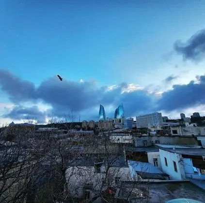 Panoramic Oda