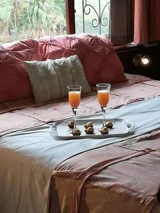 Deluxe Dört Kişilik Oda, Bahçe Manzaralı