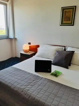 Standard Tek Büyük veya İki Ayrı Yataklı Oda, 1 Çift Kişilik Yatak