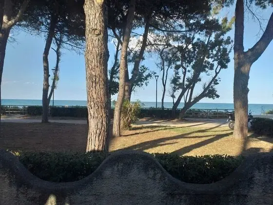 Oda, 1 Yatak Odası, Engellilere Uygun, Balkon