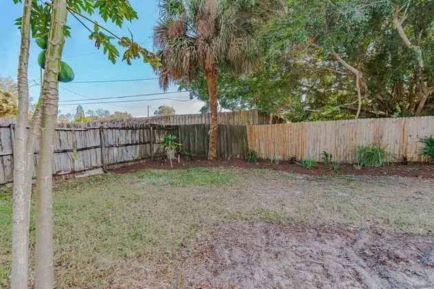 Ev (Quaint Cottage in a South Sarasota Ne)