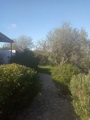 Ev, 1 Yatak Odası, Teras