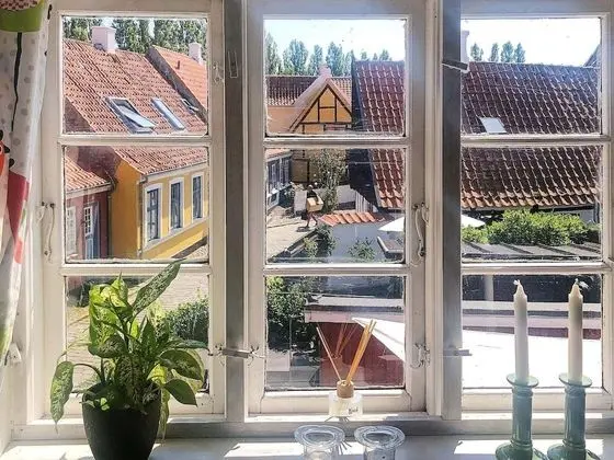 Ev