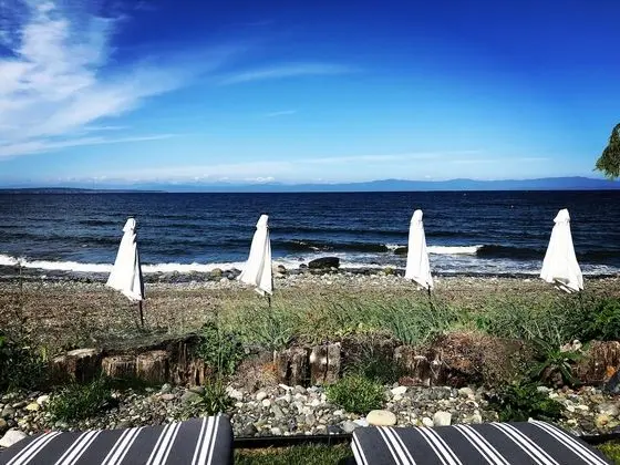 Honeymoon Stüdyo Süit, 1 En Büyük (King) Boy Yatak ve Çekyat, Okyanus Manzaralı, Zemin Kat