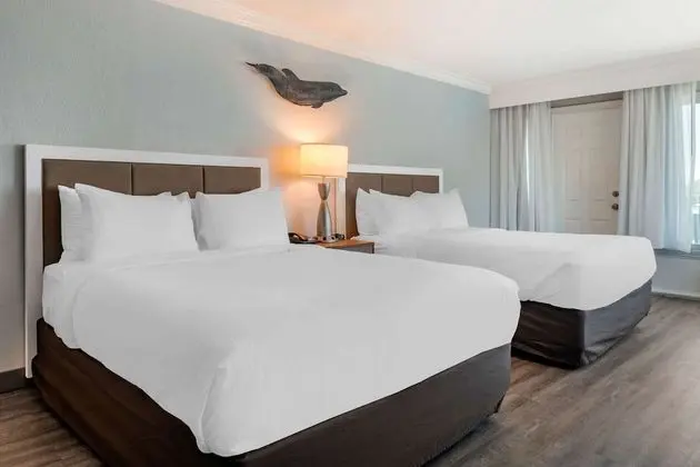 Standard Oda, 1 En Büyük (King) Boy Yatak, Balkon, Şehir Manzaralı