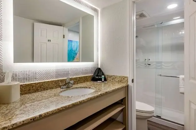 Standard Oda, 1 En Büyük (King) Boy Yatak, Balkon, Şehir Manzaralı