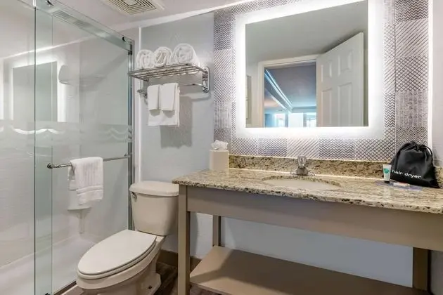Standard Oda, 1 En Büyük (King) Boy Yatak, Balkon, Şehir Manzaralı
