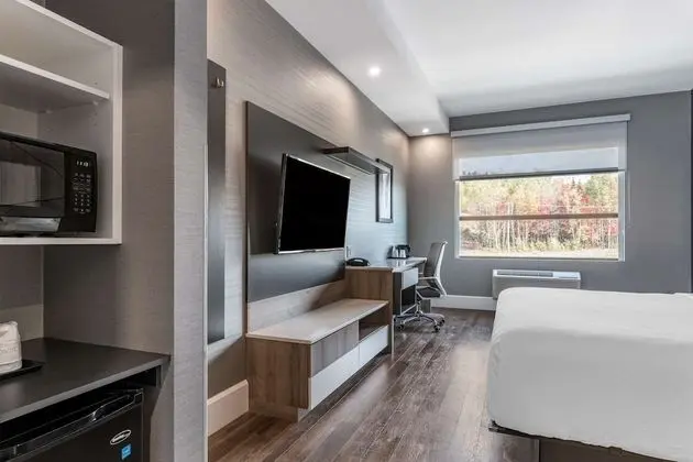 Oda, 1 En Büyük (King) Boy Yatak, Engellilere Uygun, Sigara İçilmez