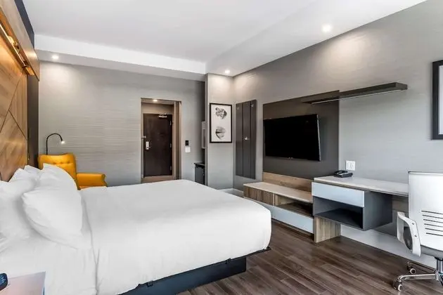 Oda, 1 En Büyük (King) Boy Yatak, Engellilere Uygun, Sigara İçilmez