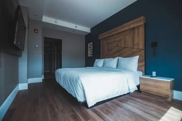 Standard Oda, 1 En Büyük (King) Boy Yatak, Sigara İçilmez