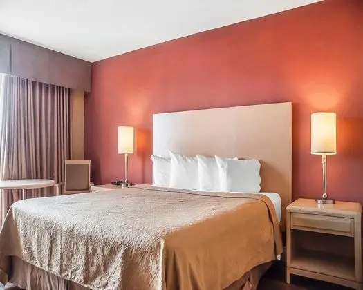 1 King Bed, Non Smoking River View Tower Room