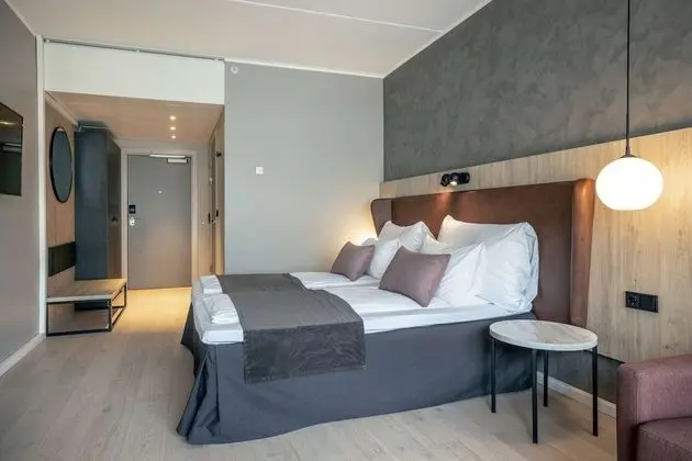 Deluxe Tek Büyük Yataklı Oda, 1 Çift Kişilik Yatak ve Çekyat, Sigara İçilmez