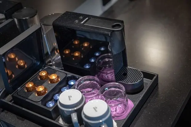 Superior Oda, Sigara İçilmez (King with Sofa Bed)