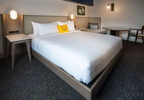 Deluxe Oda, 1 En Büyük (King) Boy Yatak, Şehir Manzaralı