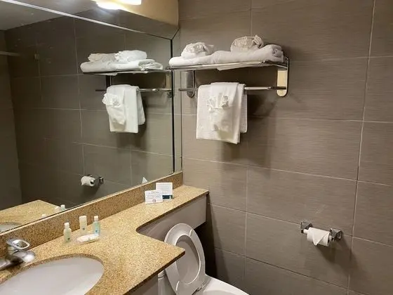 Standard Oda, 1 En Büyük (King) Boy Yatak, Sigara İçilmez