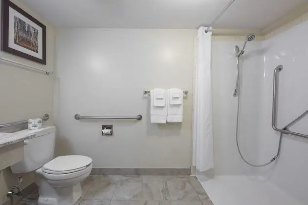 Accessible Queen Room, Non-Smoking