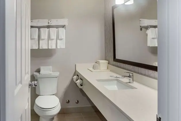 Executive Oda, 1 En Büyük (King) Boy Yatak ve Çekyat, Sigara İçilmez (1 Person Sofa Bed)