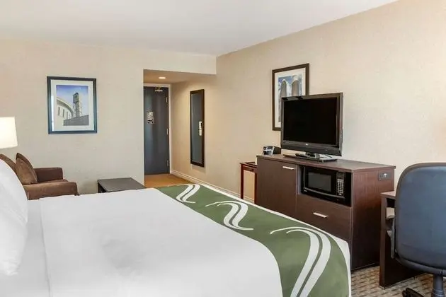 Executive Oda, 1 En Büyük (King) Boy Yatak ve Çekyat, Sigara İçilmez (1 Person Sofa Bed)