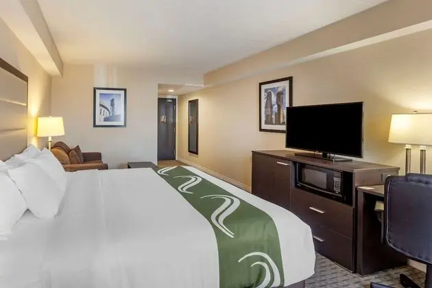 Executive Oda, 1 En Büyük (King) Boy Yatak ve Çekyat, Sigara İçilmez (1 Person Sofa Bed)