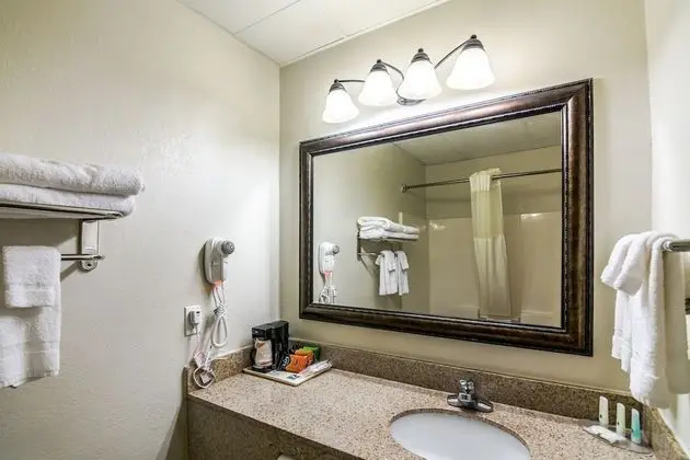 Business Süit, 1 En Büyük (King) Boy Yatak ve Çekyat, Sigara İçilmez (2 Person Sofabed)