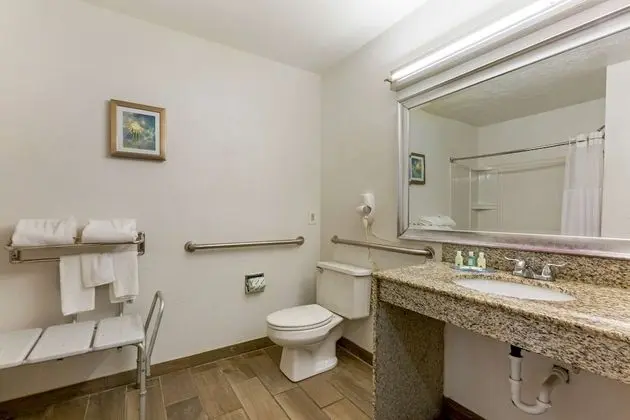 Oda, 1 En Büyük (King) Boy Yatak, Engellilere Uygun, Sigara İçilmez (Roll-In Shower)