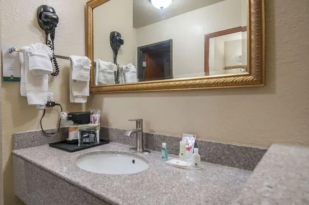 1 King Bed, Nonsmoking, Pet Friendly