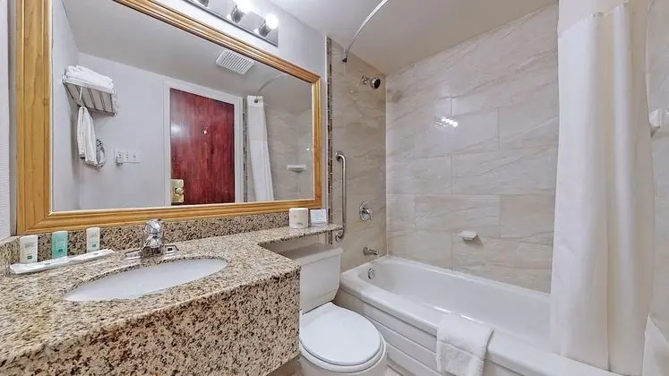 Standard Tek Büyük Yataklı Oda, 2 Çift Kişilik Yatak, Sigara İçilmez