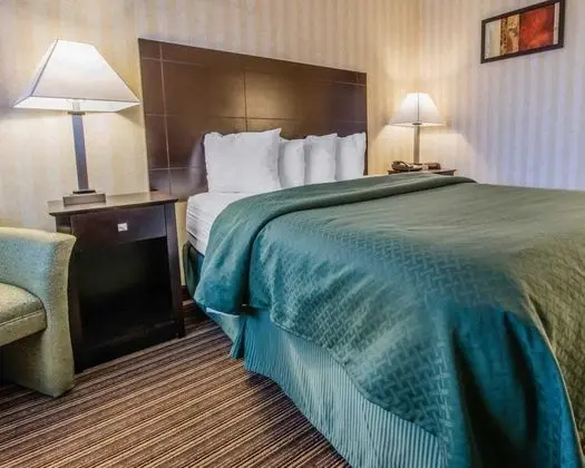 Standard Oda, 1 En Büyük (King) Boy Yatak, Sigara İçilmez