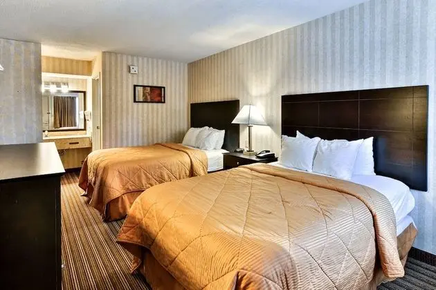 Standard Tek Büyük Yataklı Oda, 2 Çift Kişilik Yatak, Sigara İçilmez