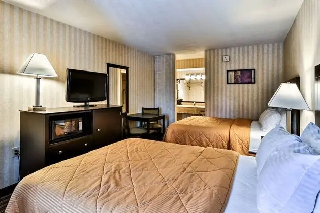 Standard Tek Büyük Yataklı Oda, 2 Çift Kişilik Yatak, Sigara İçilmez