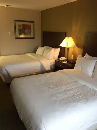 Standard Tek Büyük Yataklı Oda, 2 Çift Kişilik Yatak, Sigara İçilmez