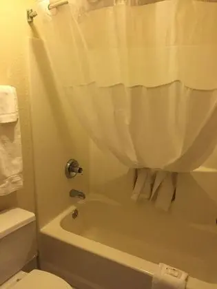 Standard Tek Büyük Yataklı Oda, 2 Çift Kişilik Yatak, Sigara İçilmez