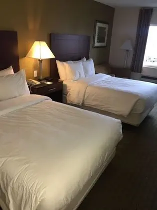 Standard Tek Büyük Yataklı Oda, 2 Çift Kişilik Yatak, Sigara İçilmez