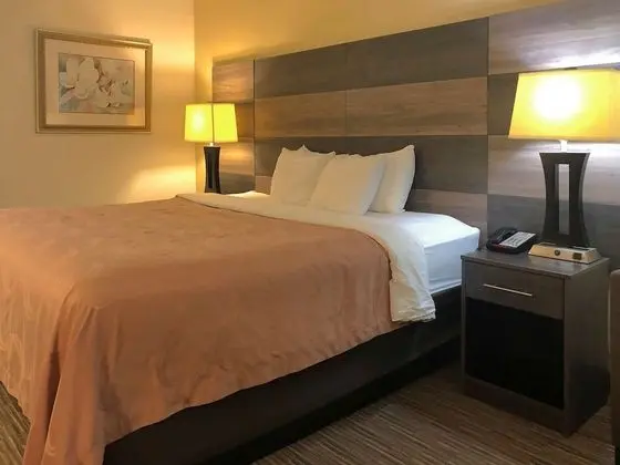 Standard Oda, 1 En Büyük (King) Boy Yatak, Sigara İçilmez