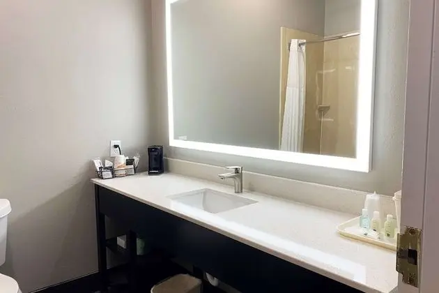 Oda, 2 Büyük (Queen) Boy Yatak, Engellilere Uygun, Sigara İçilmez (Mobility/Tub with Grab Bars)