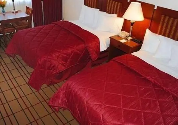 Standard Tek Büyük Yataklı Oda, 2 Çift Kişilik Yatak, Sigara İçilmez