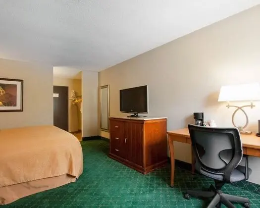 Standard Oda, 1 En Büyük (King) Boy Yatak, Sigara İçilmez