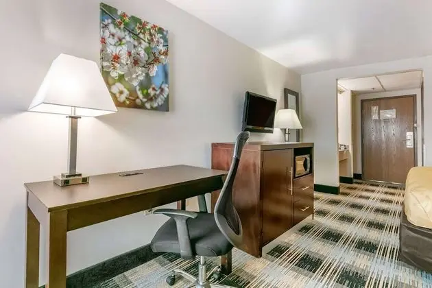 Standard Oda, 1 En Büyük (King) Boy Yatak, Sigara İçilmez