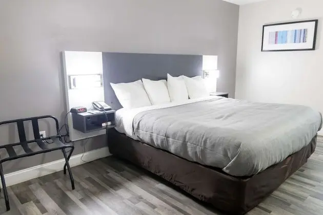 Oda, 1 En Büyük (King) Boy Yatak, Engellilere Uygun, Sigara İçilmez