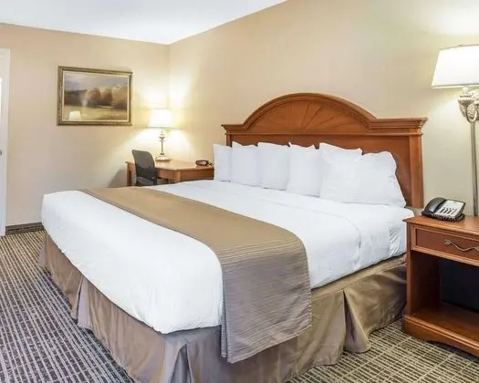 Oda, 1 En Büyük (King) Boy Yatak, Engellilere Uygun, Sigara İçilmez