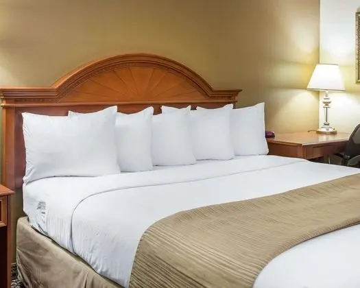 Standard Oda, 1 En Büyük (King) Boy Yatak, Sigara İçilmez