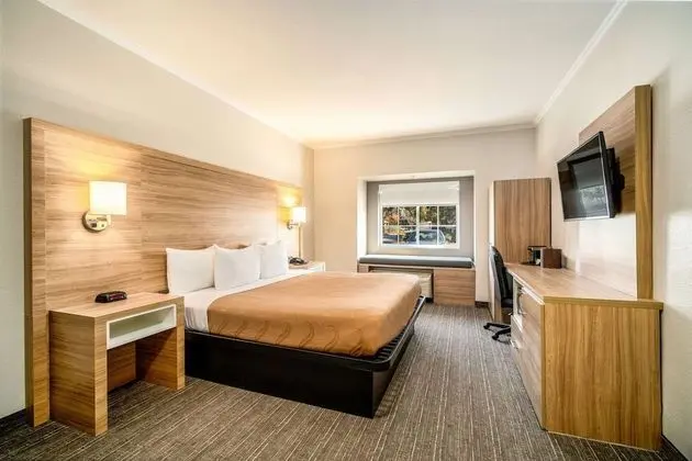 Standard Room 1 King Bed, Microwave, Non-Smoking