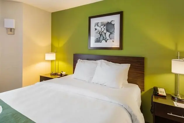 Oda, 1 Büyük (Queen) Boy Yatak, Engellilere Uygun, Sigara İçilmez