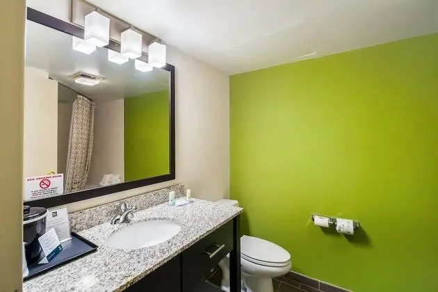 Süit, 1 Büyük (Queen) Boy Yatak, Sigara İçilmez