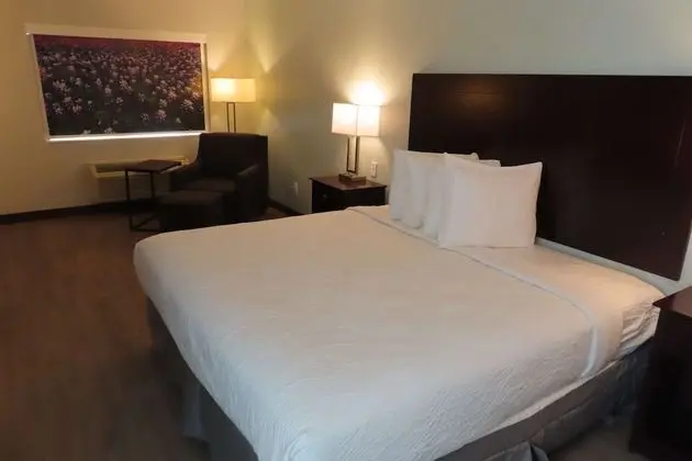 Standard Oda, 1 En Büyük (King) Boy Yatak, Engellilere Uygun (Walk-in Shower)